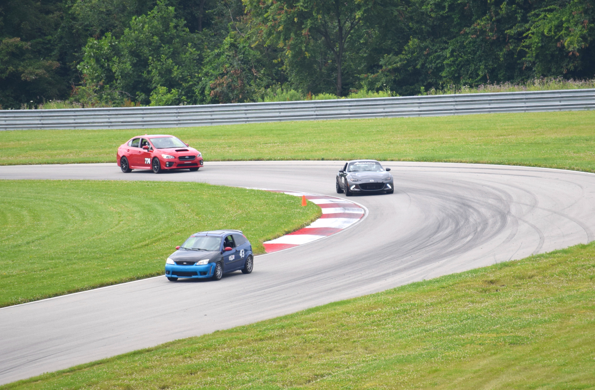 Pitt Race